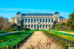 jardin des plantes